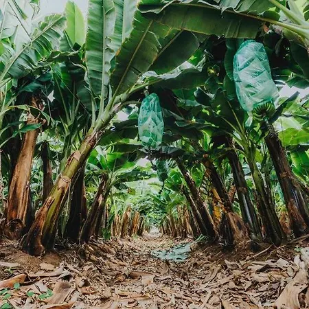 Adosado La Guancha Dom wakacyjny *