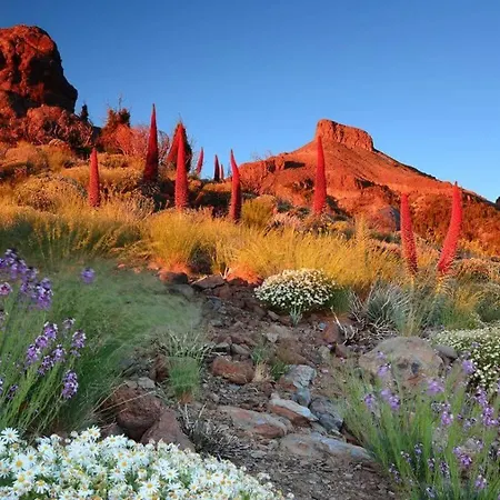 Dom wakacyjny Adosado La Guancha San Miguel de Abona